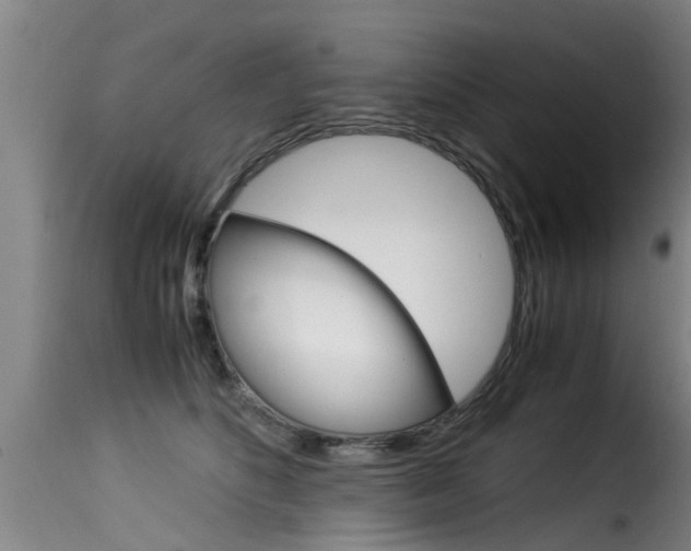 X0000116060516200911201203