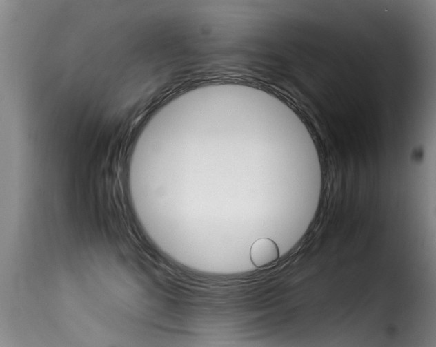 X0000116060520200911201203