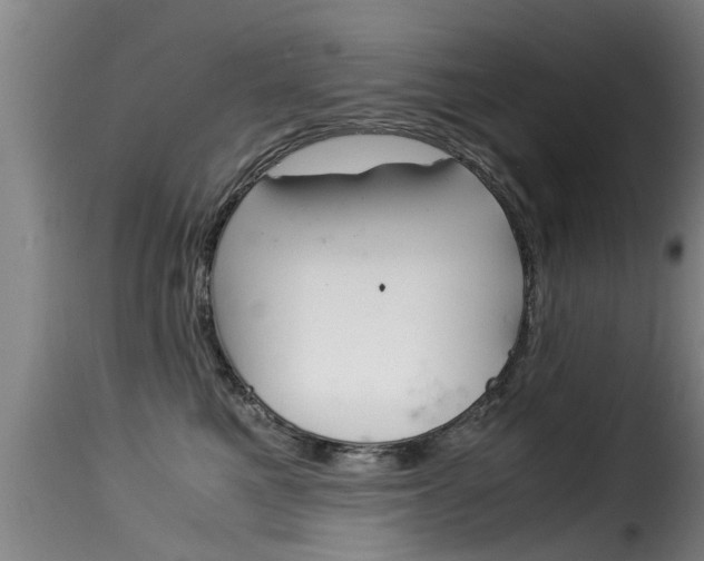 X0000116060521200911201203