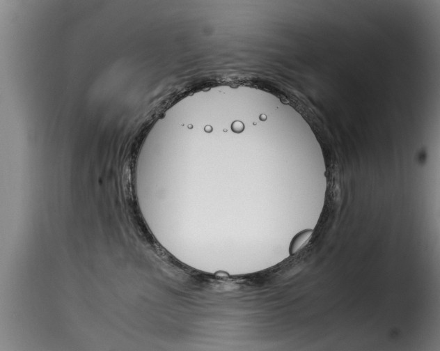X0000116060523200911201203