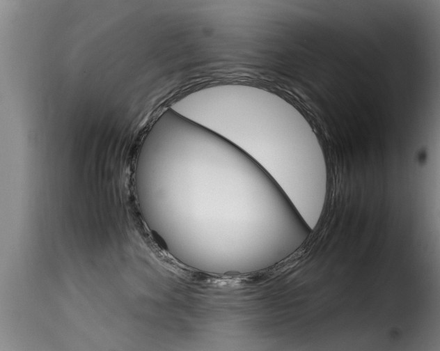 X0000116060524200911201203