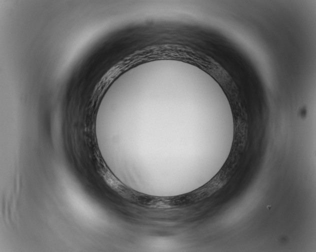 X0000116060526200911201203