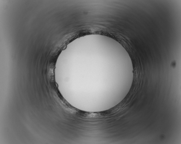 X0000116060527200911201203