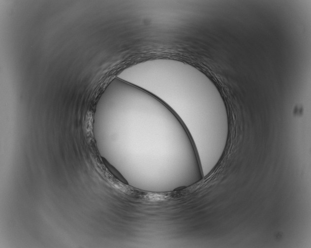 X0000116060528200911201203