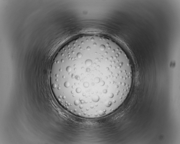 X0000116060529200911201203