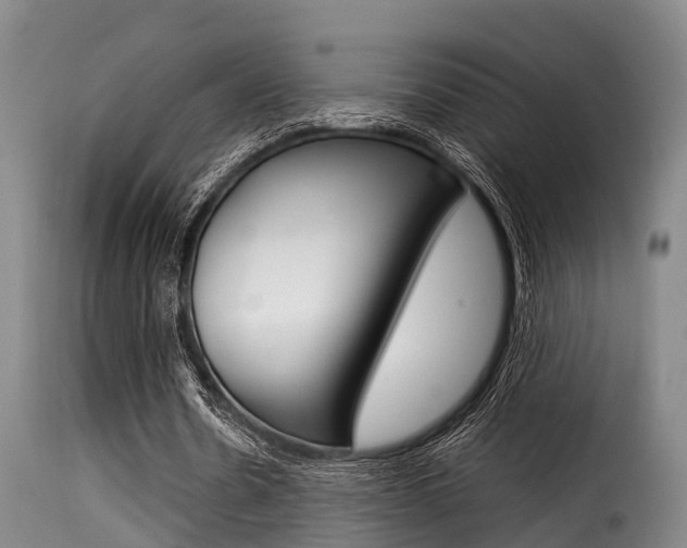 X0000116060530200911201203