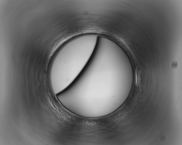 X0000116060531200911201203