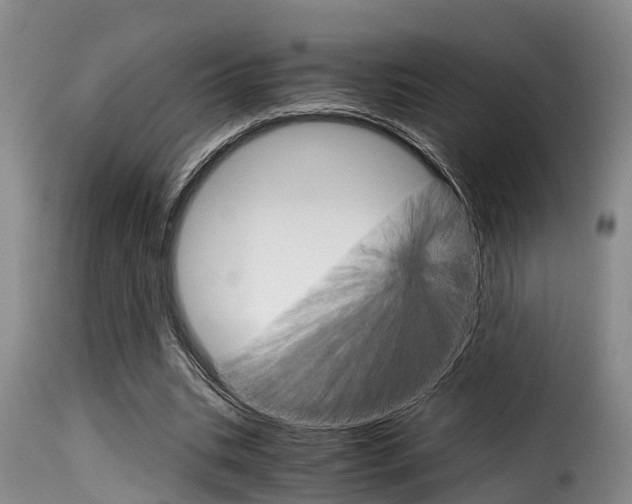 X0000116060535200911201203