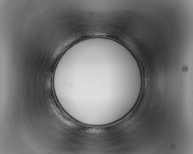 X0000116060537200911201203