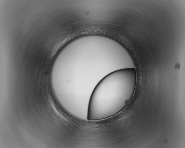 X0000116060538200911201203
