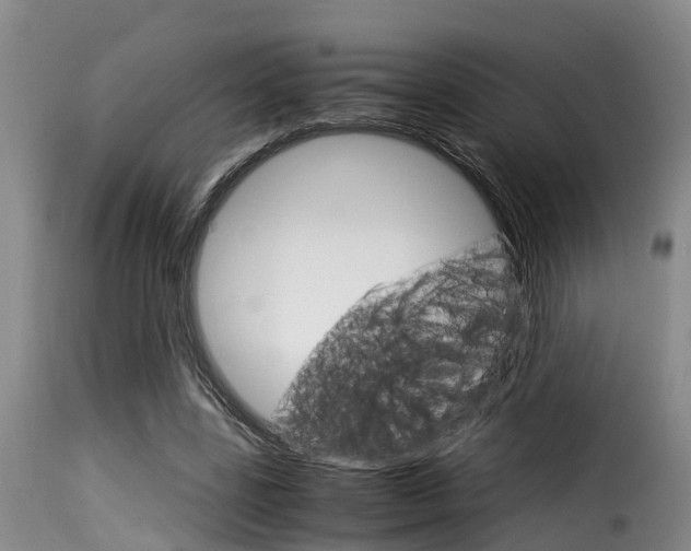 X0000116060539200911201203