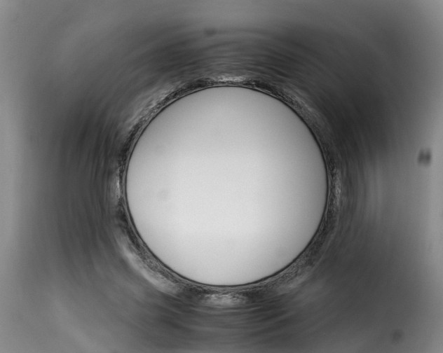 X0000116060541200911201203