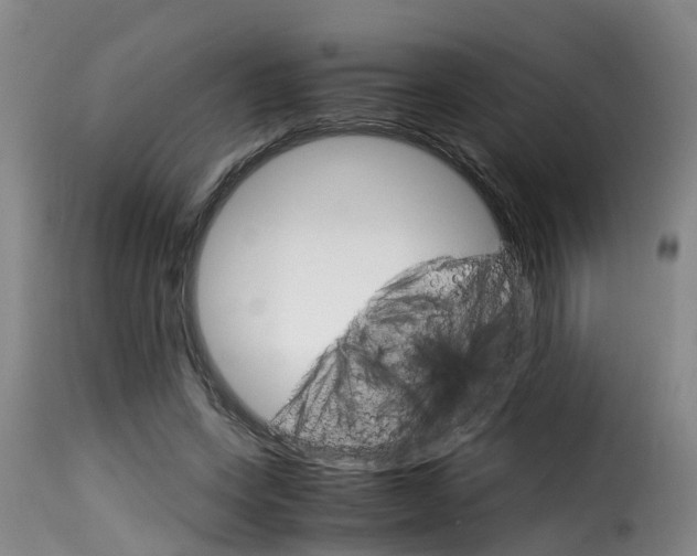 X0000116060543200911201203