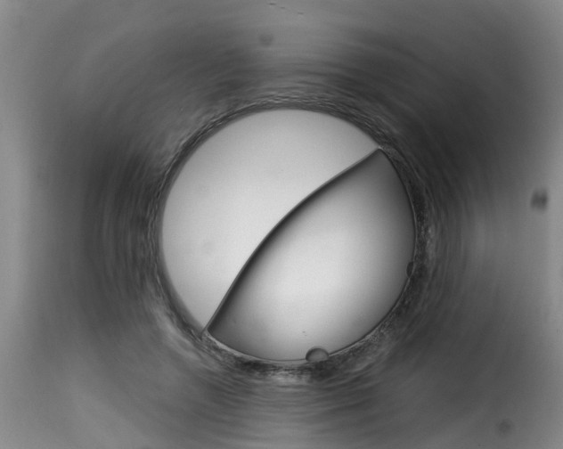 X0000116060546200911201203
