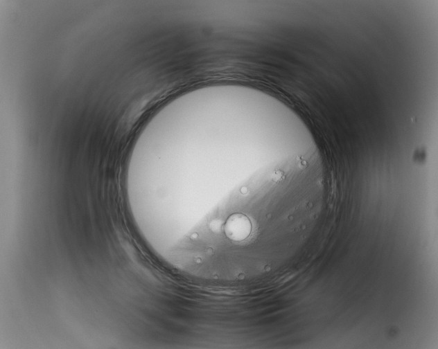 X0000116060547200911201203