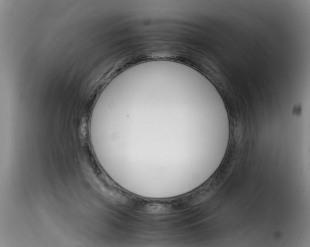 X0000116060549200911201203