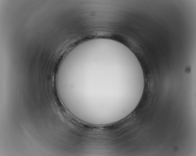 X0000116060550200911201203