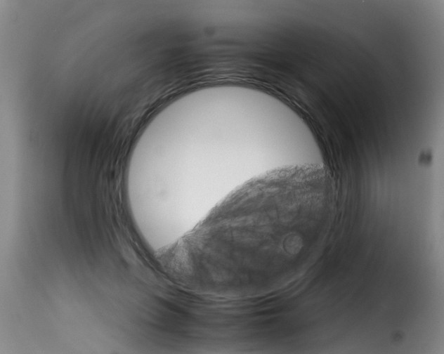 X0000116060551200911201203
