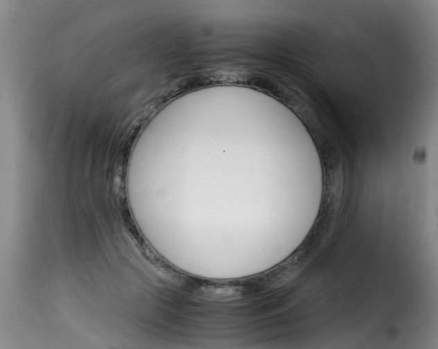 X0000116060553200911201203