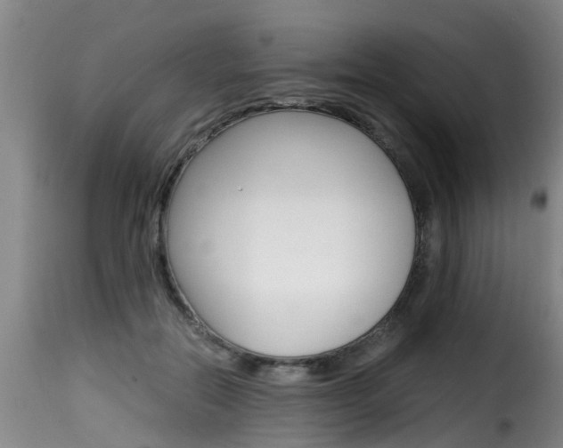 X0000116060554200911201203