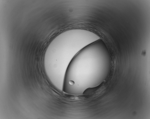 X0000116060558200911201203