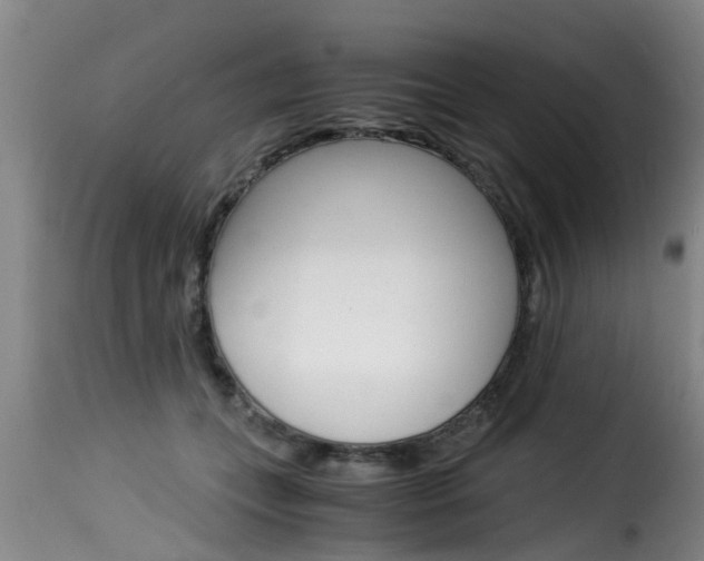 X0000116060559200911201203