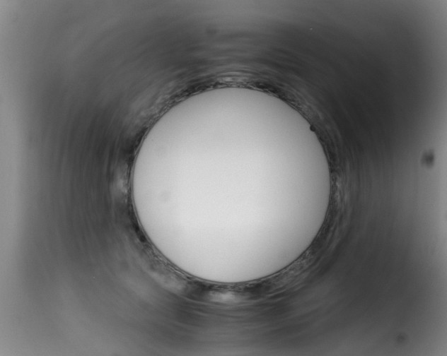 X0000116060561200911201203