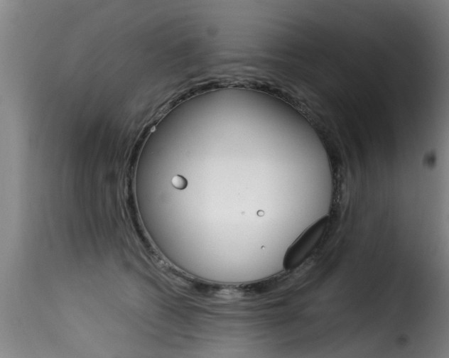 X0000116060562200911201203