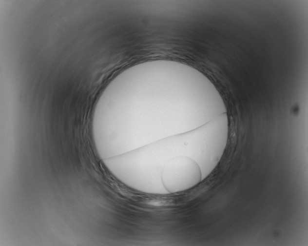 X0000116060563200911201203