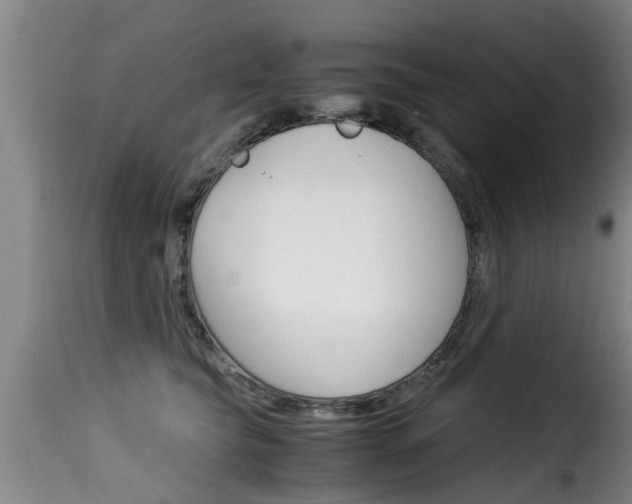 X0000116060565200911201203