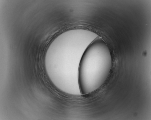X0000116060566200911201203