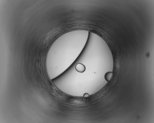 X0000116060567200911201203