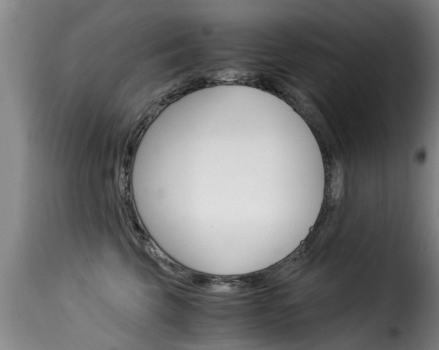X0000116060569200911201203
