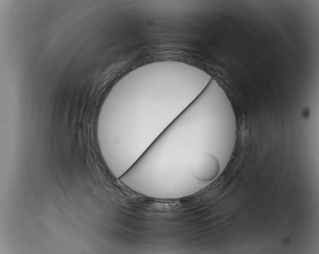 X0000116060571200911201203