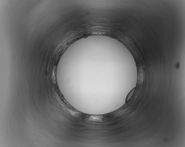 X0000116060573200911201203