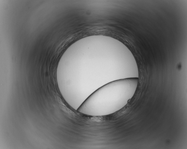 X0000116060574200911201203
