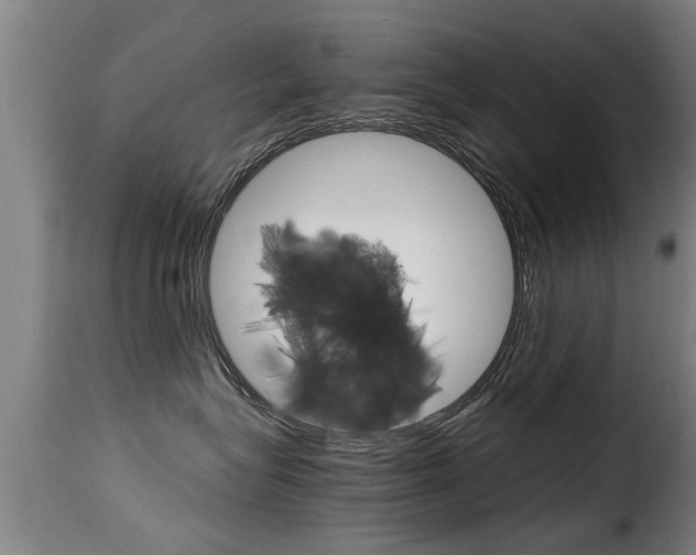 X0000116060575200911201203