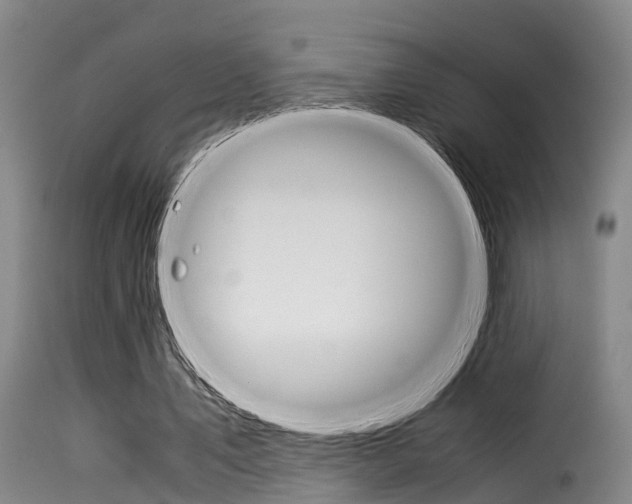 X0000116060579200911201203