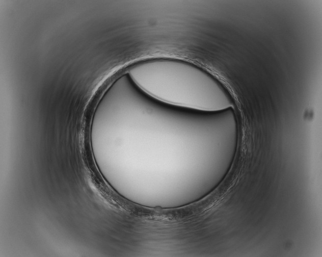 X0000116060580200911201202