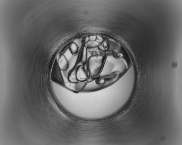 X0000116060581200911201202