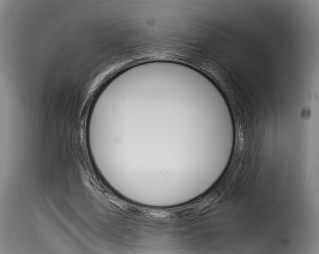 X0000116060583200911201202