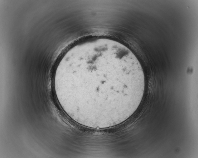 X0000116060584200911201202