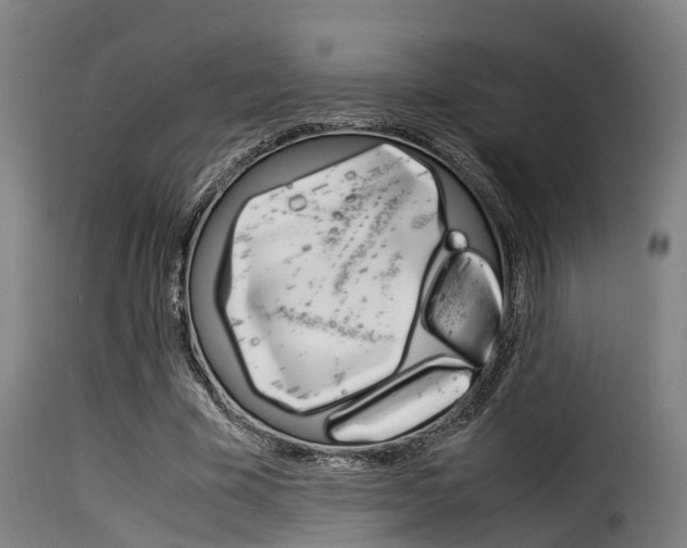 X0000116060585200911201202