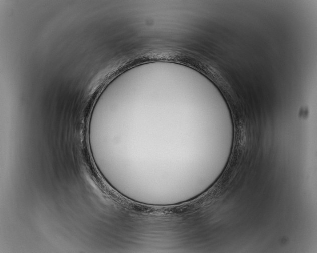 X0000116060586200911201202