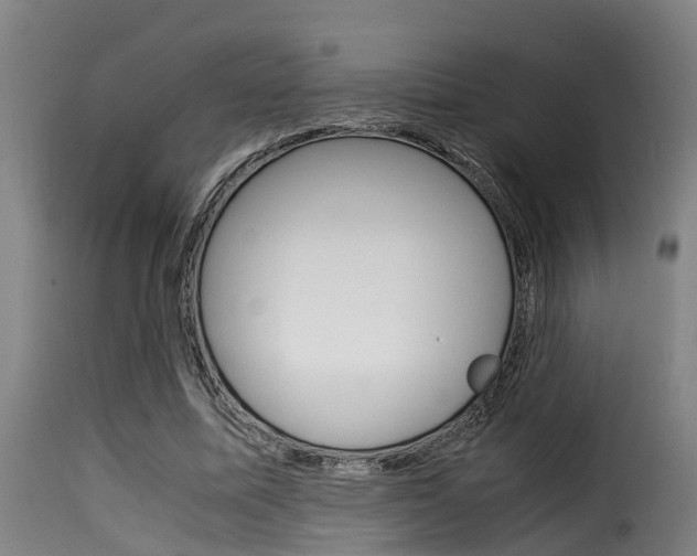 X0000116060587200911201202
