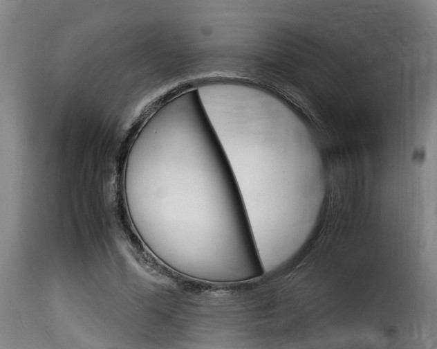 X0000116060588200911201202