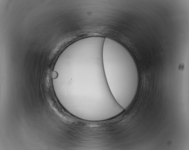 X0000116060590200911201202