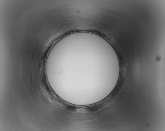 X0000116060591200911201202