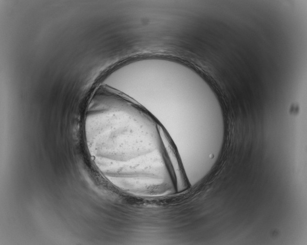 X0000116060592200911201202