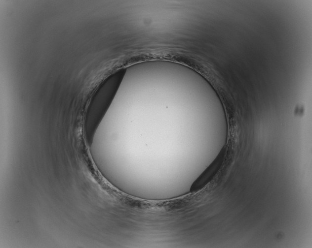 X0000116060593200911201202